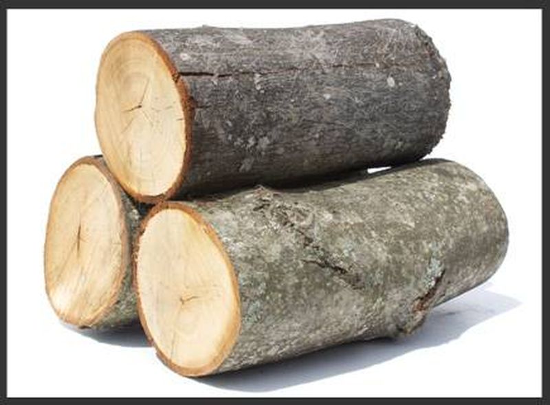 Différentes essences de bois de chauffage à Gignac la Nerthe 13180 chez AbBois dans les Bouches du Rhône 
