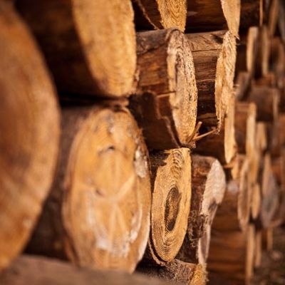 Notre zone d'activité pour ce service Grossiste en bois de chauffage pour professionnels