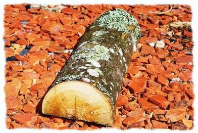 Nos prestations sur le secteur de Châteauneuf-les-Martigues 13220