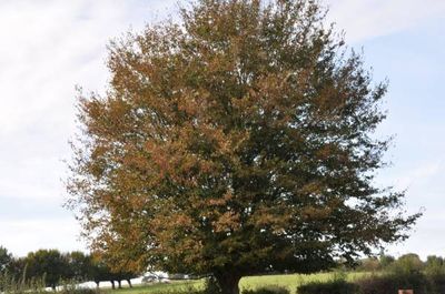 Nos prestations sur le secteur de Châteauneuf-les-Martigues 13220