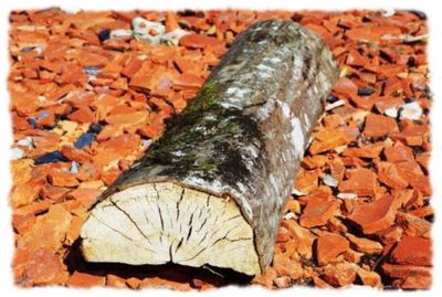 Nos prestations sur le secteur de Châteauneuf-les-Martigues 13220